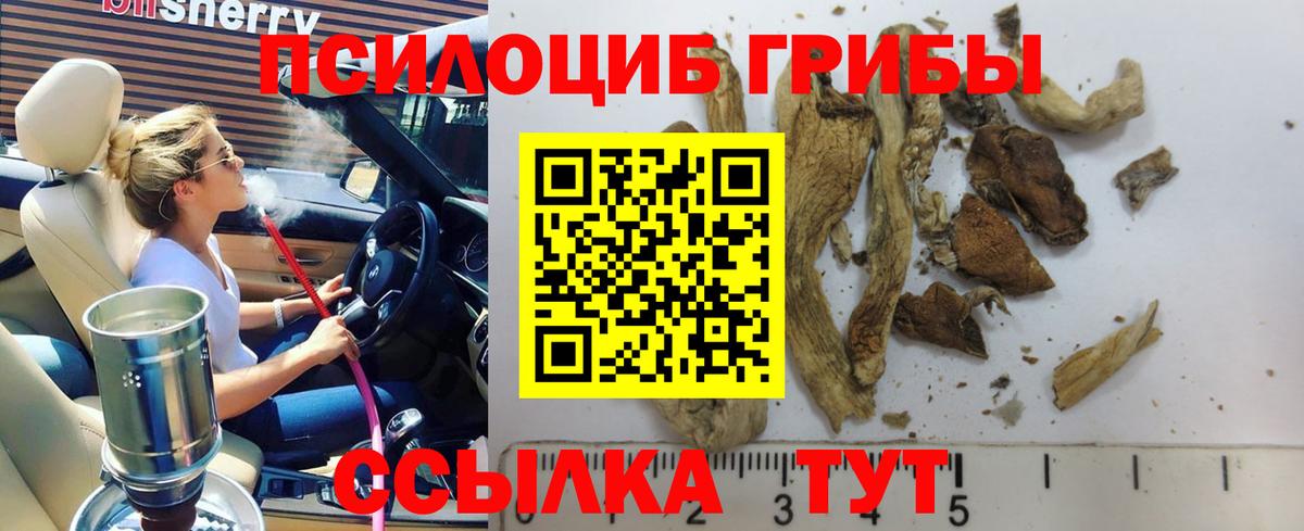 Псилоцибиновые грибы MAGIC MUSHROOMS  Вход с VPN  Кувандык 