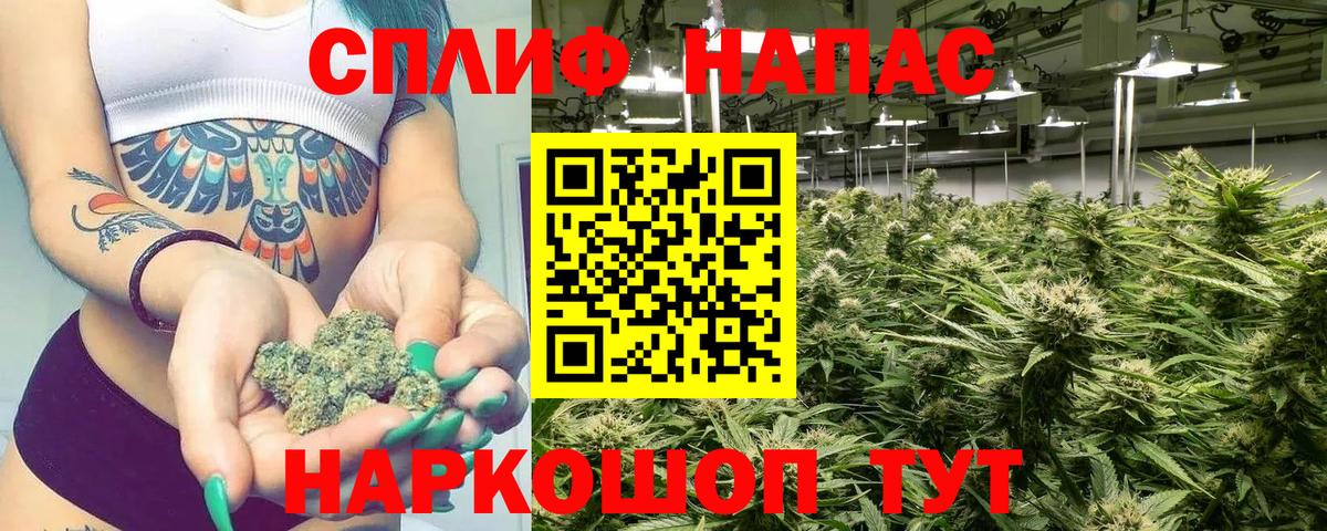 Бошки марихуана OG Kush  Канабис гибрид  МАРИХУАНА планчик  Вход с VPN  Кувандык 